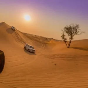 Morning Desert Safari