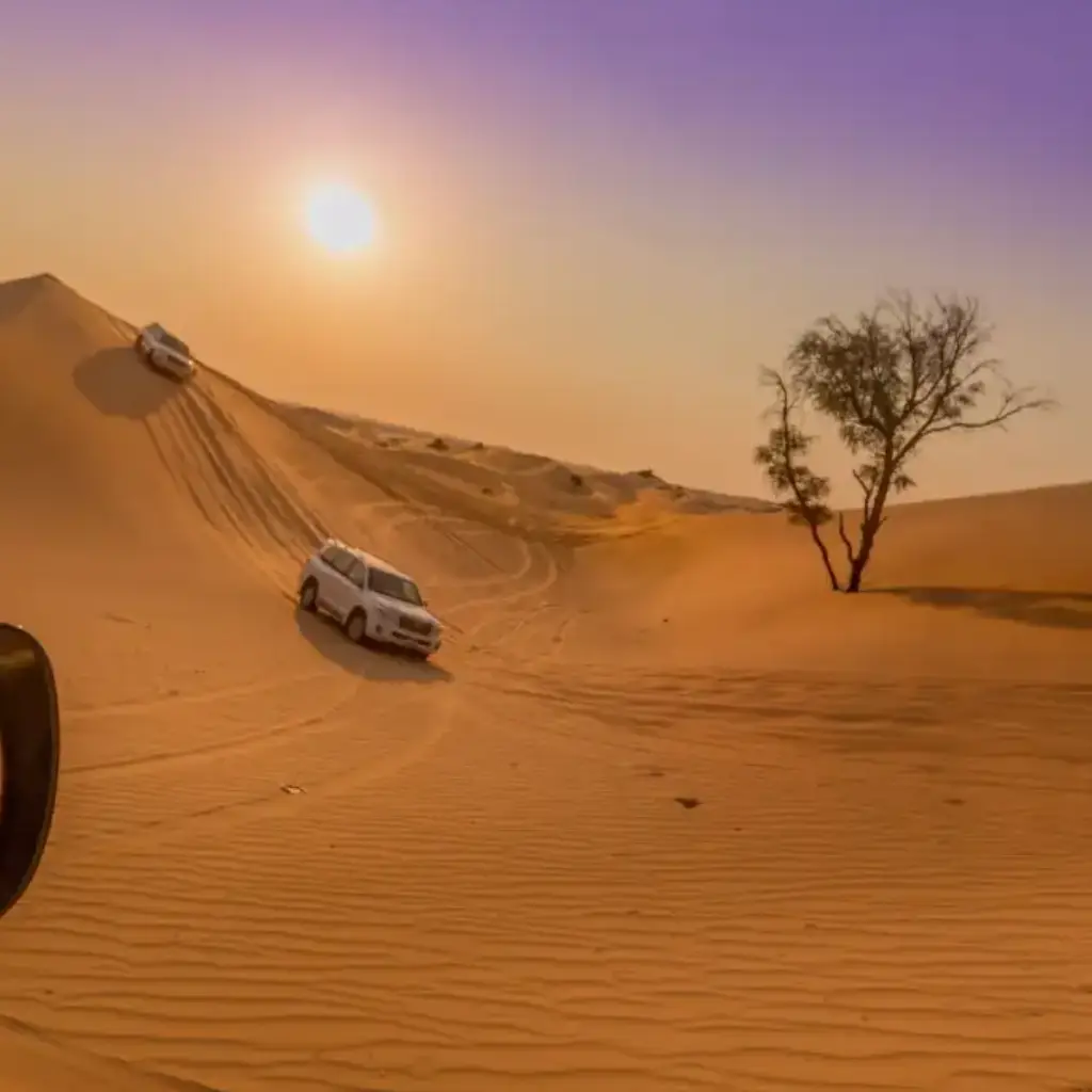 c149f87896c9c6fa4f01bf3fc7040d57-1024x1024-1-1